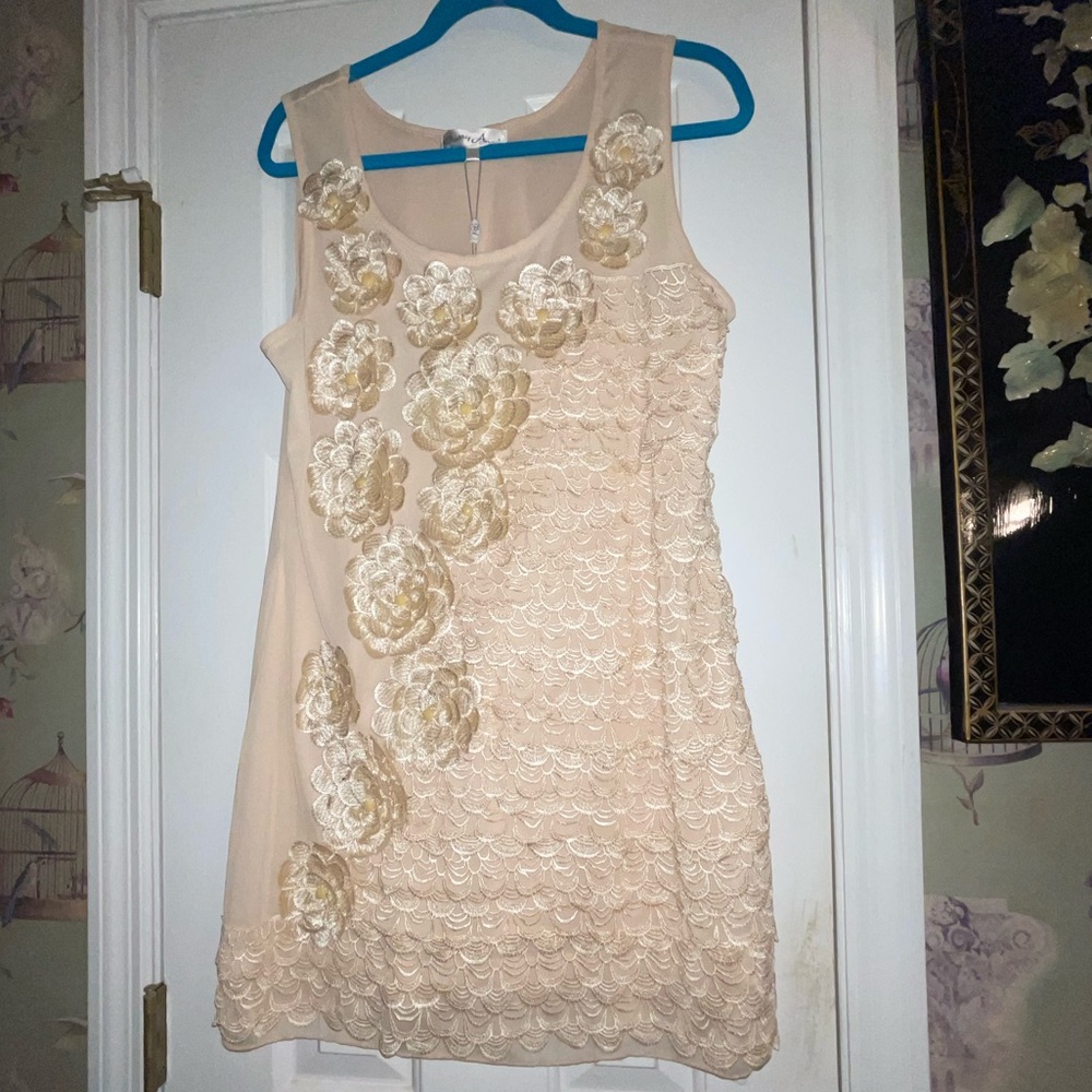 Pretty Angel Dress Size Large
